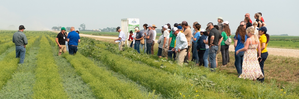 Group on an intercrop field at Avena CAFAD 2024 Tour