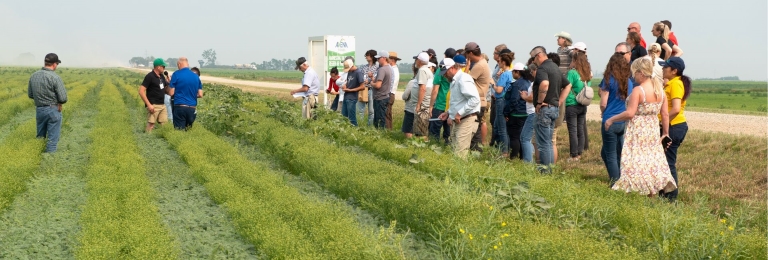 Group on an intercrop field at Avena Customer and Farmer Appreciation Day 2024 Tour