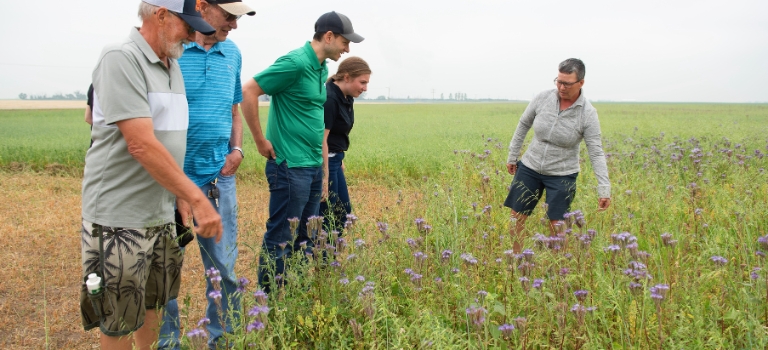 People on pollinator strips at Avena CAFAD 2024