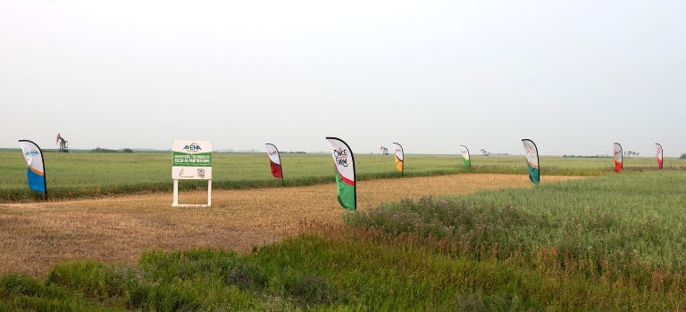 Sign and flags at Avena Customer and Farmer Appreciation Day 2024 Tour 