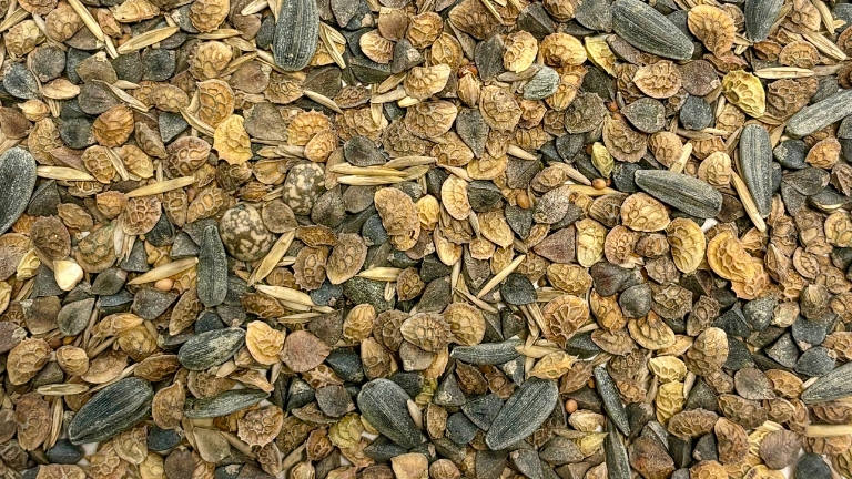 A pollinator seed blend.