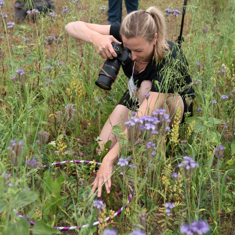 Regan Ferguson from Collective Impact Ag captures photos of the pollinator strip at Roughbark Acres.